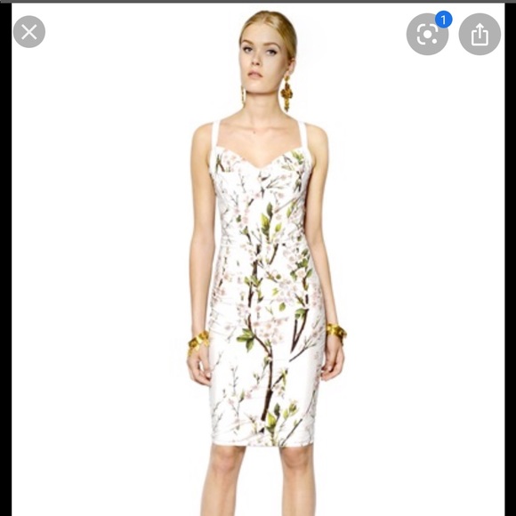 Dolce & Gabbana spring blossom dress - Picture 2 of 4